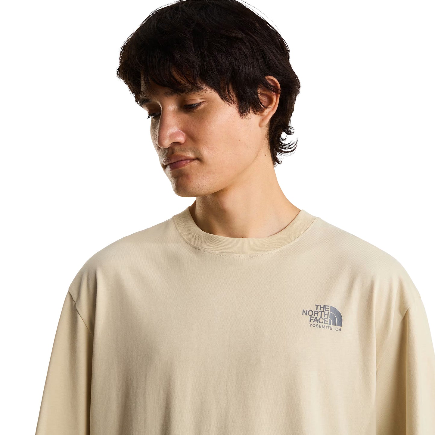 T-Shirt de manga curta para homem The North Face Plant & Fauna Oversize em Desert Stone. Foto de detalhe da parte da frente, vestida.