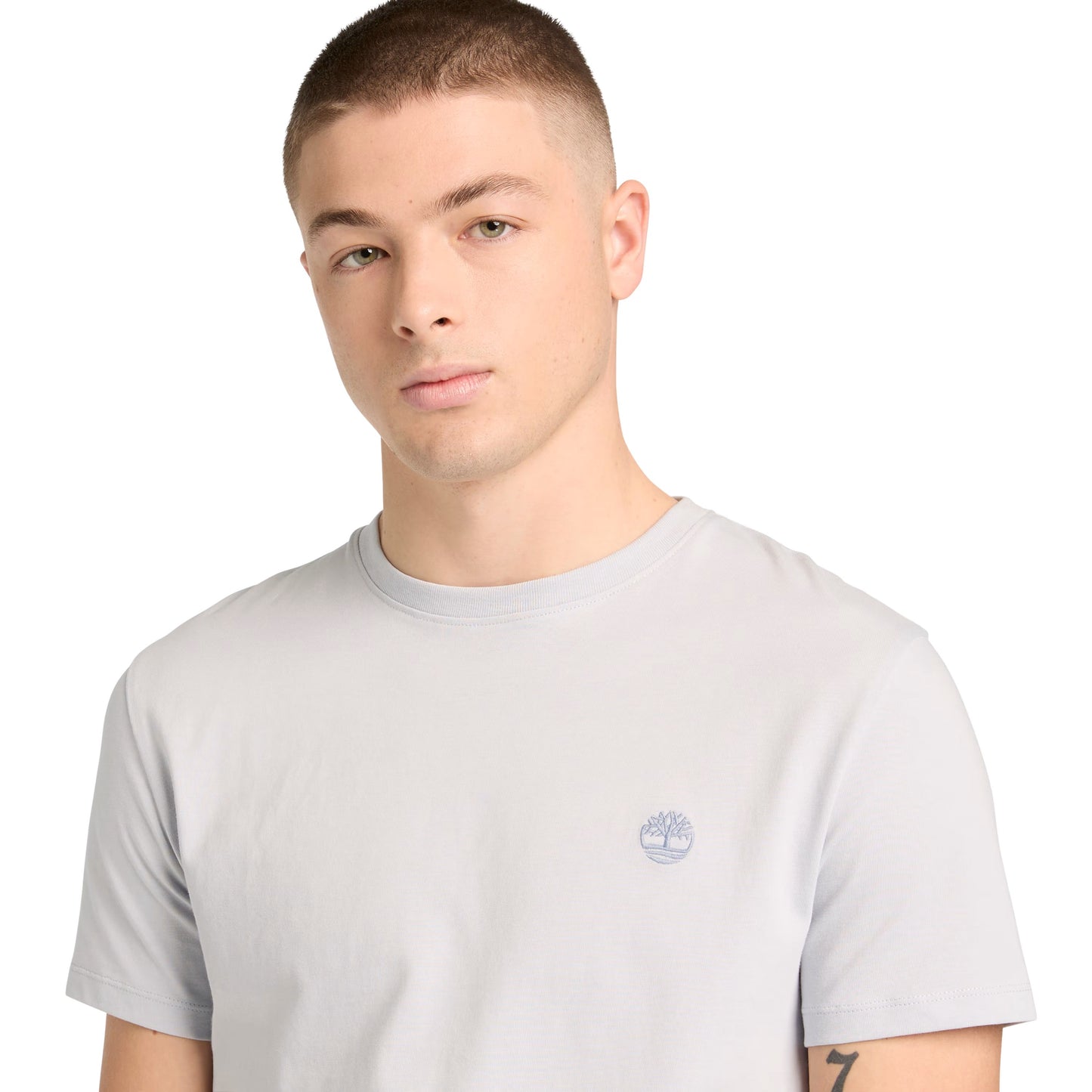 T-Shirt de manga curta para homem Timberland Dunstan River em Gray Dawn. Foto da parte da frente, vestida.