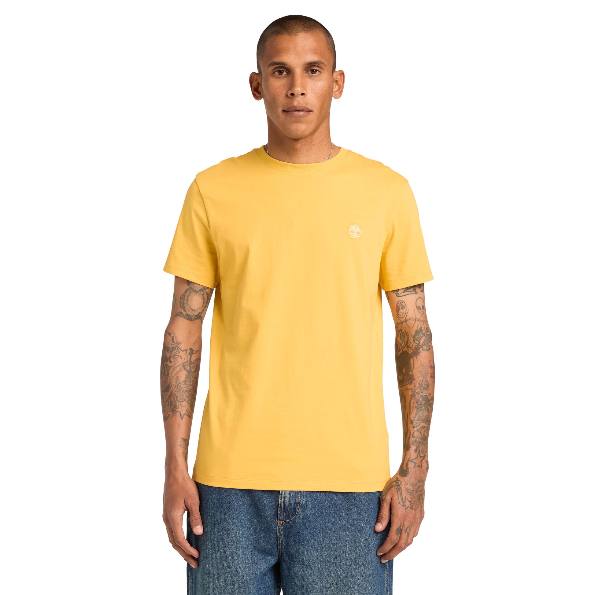 T-Shirt de manga curta para homem Timberland Dunstan River em Yolk Yellow. Foto da parte da frente, vestida.