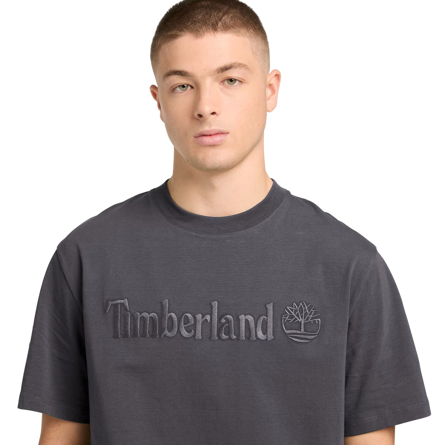 Timberland Hampthon Short Sleeve T-Shirt Blackened Pearl. Foto de detelhe da parte da frente, vestido.