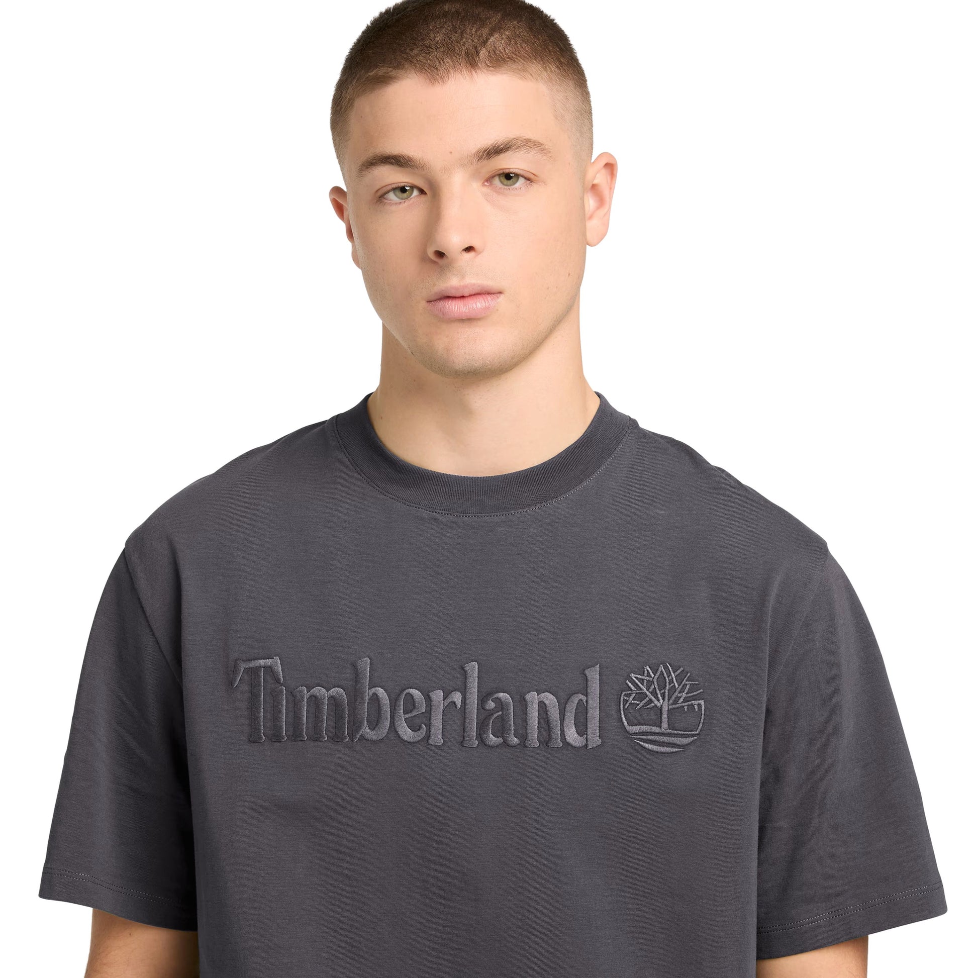 Timberland Hampthon Short Sleeve T-Shirt Blackened Pearl. Foto de detelhe da parte da frente, vestido.