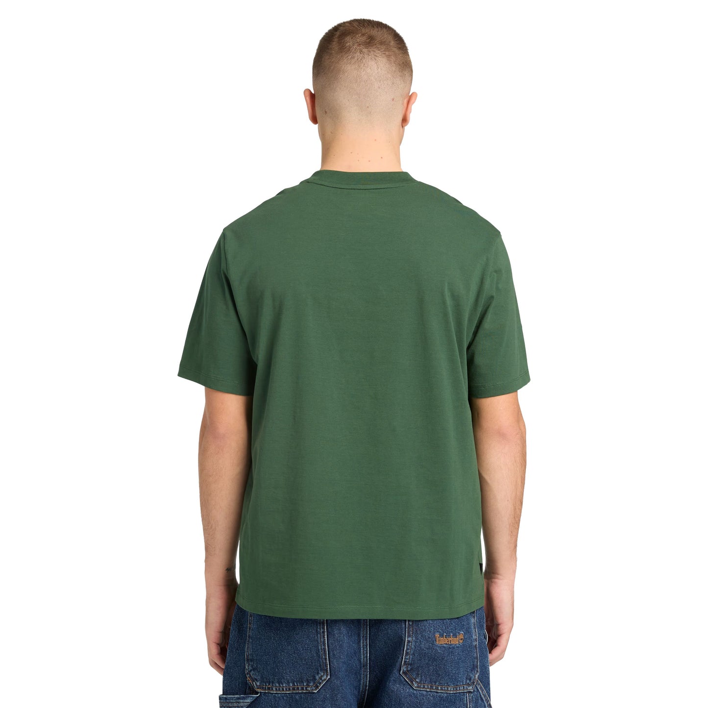 T-Shirt de manga curta para homem Timberland Hampthon em Pineneedle. Foto da parte de trás, vestida.