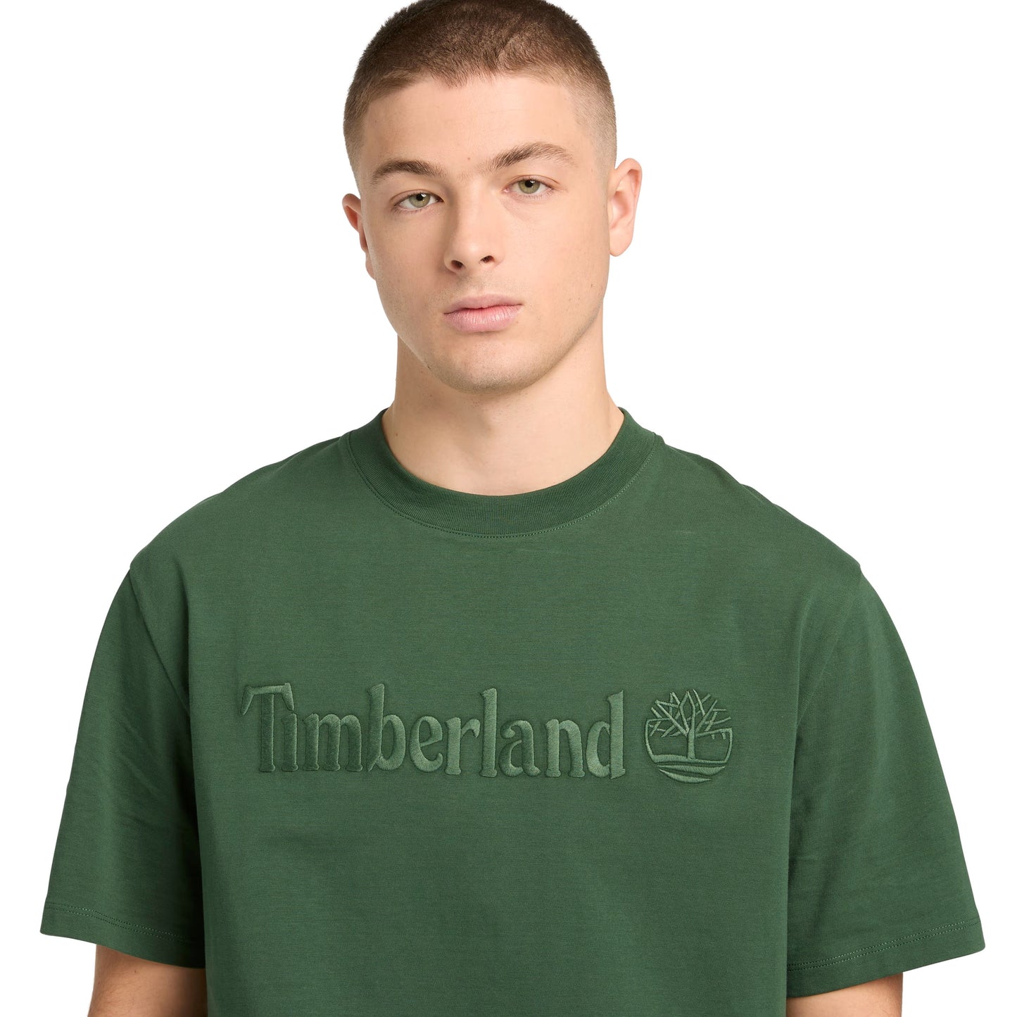T-Shirt de manga curta para homem Timberland Hampthon em Pineneedle. Foto de detalhe da parte da frente, vestida.