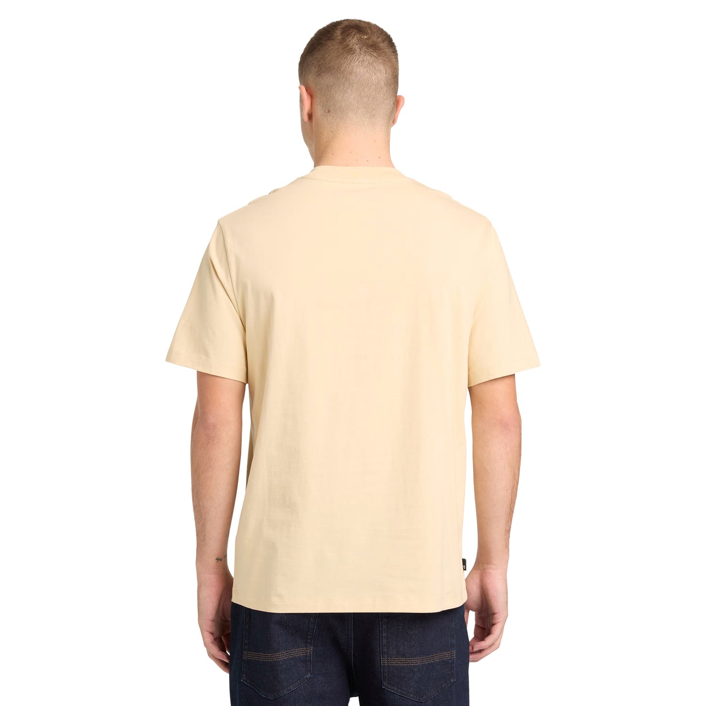 T-Shirt de manga curta para homem Timberland Hampthon em Putty. Foto da parte de trás, vestida.