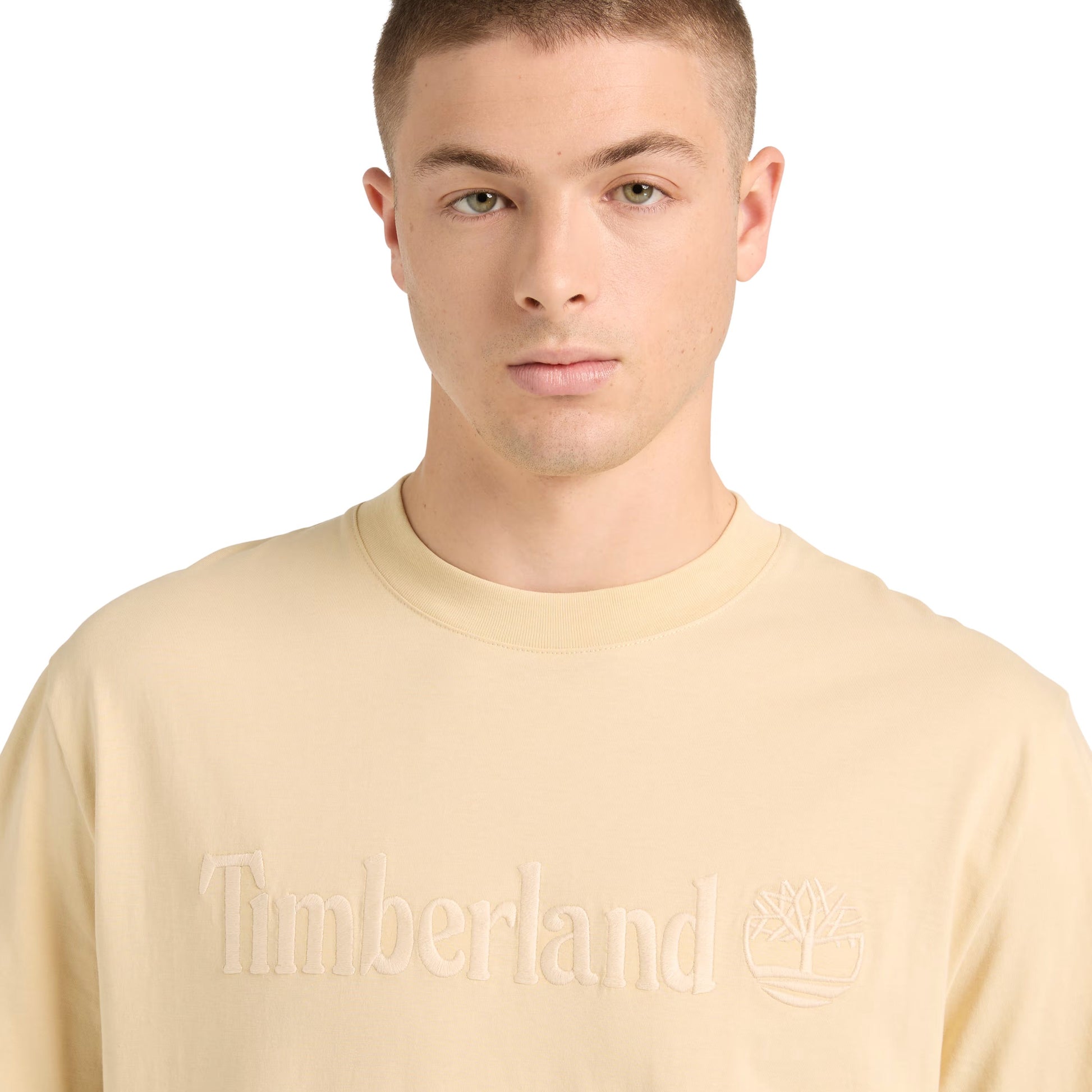 T-Shirt de manga curta para homem Timberland Hampthon em Putty. Foto de detalhe da parte da frente, vestida.