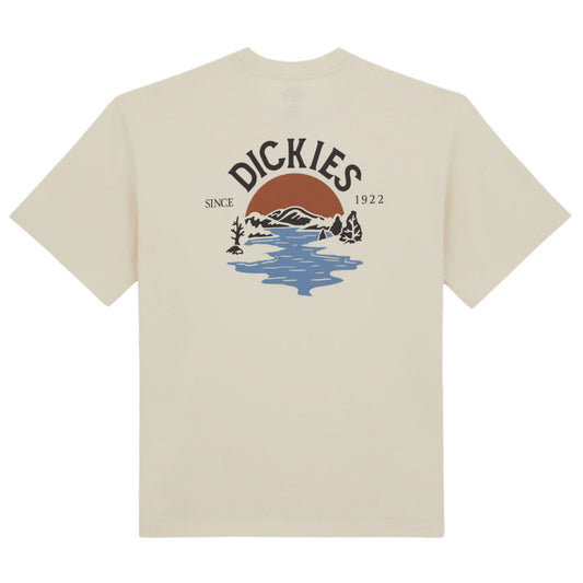 Dickies Beach T-Shirt Whitecap Grey. Foto da parte de trás.