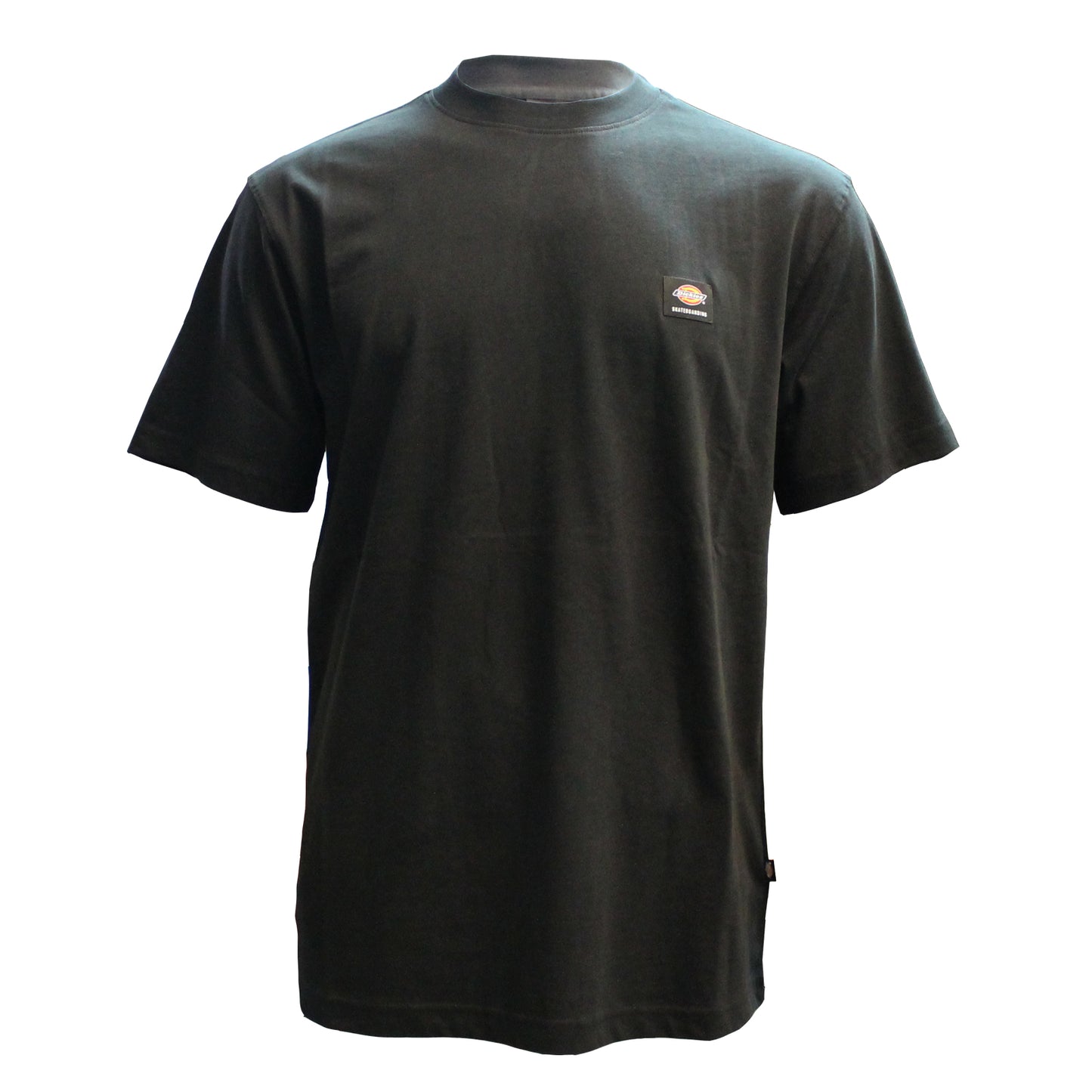 Dickies Mount Vista T-Shirt Black. Foto de frente.